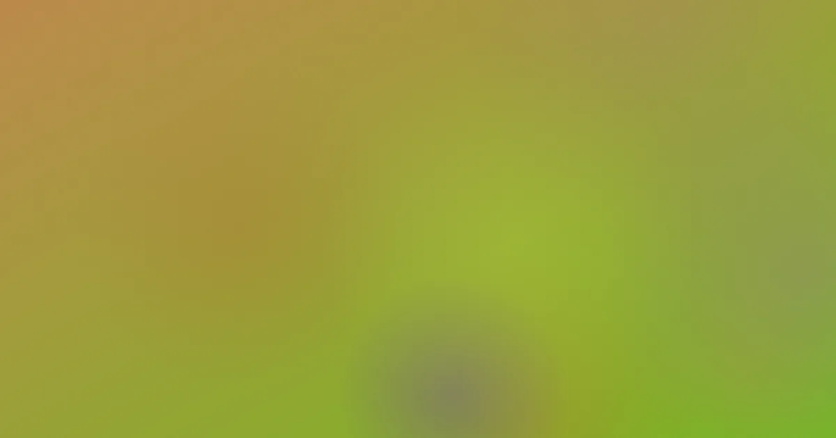 mc视频值得吗？先看这份